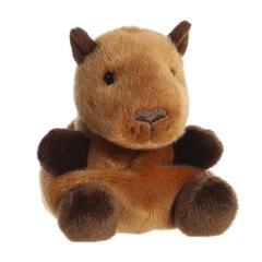 Capybara plush animal included in bundle